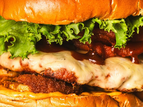 Les sandwichs américains : une aventure gourmande à savourer